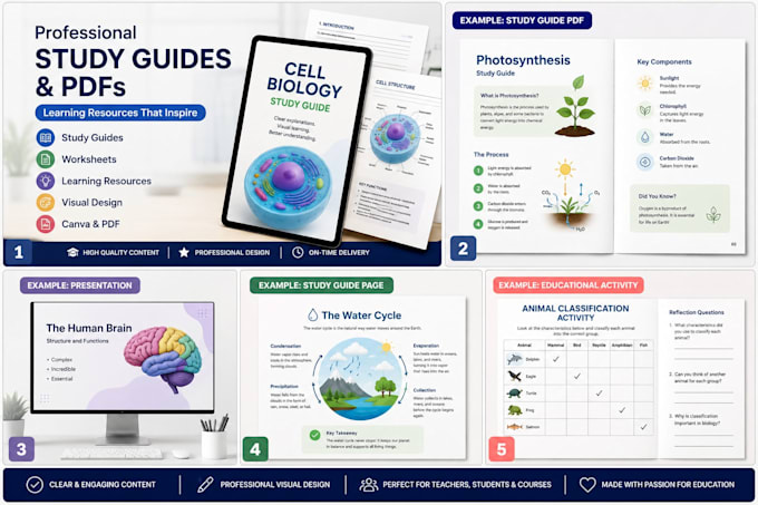 create professional educational pdfs and study guides