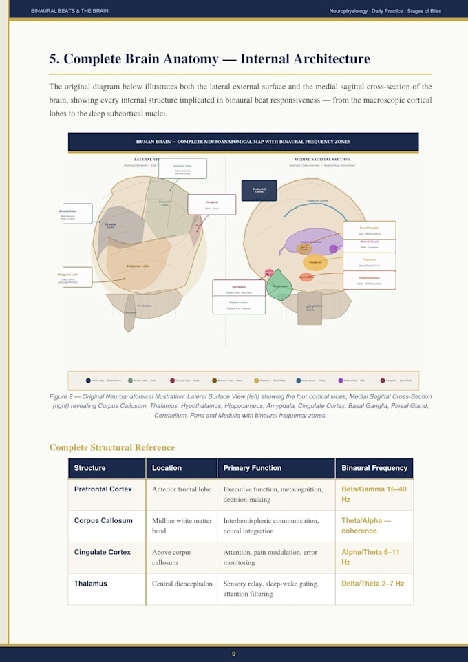 create neuro targeted binaural beats for focus and sleep
