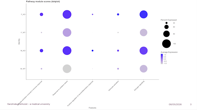 perform single cell rna seq analysis using r and seurat
