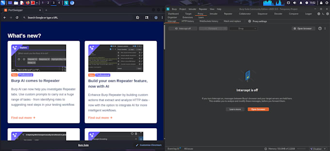 perform web application security testing and basic vapt