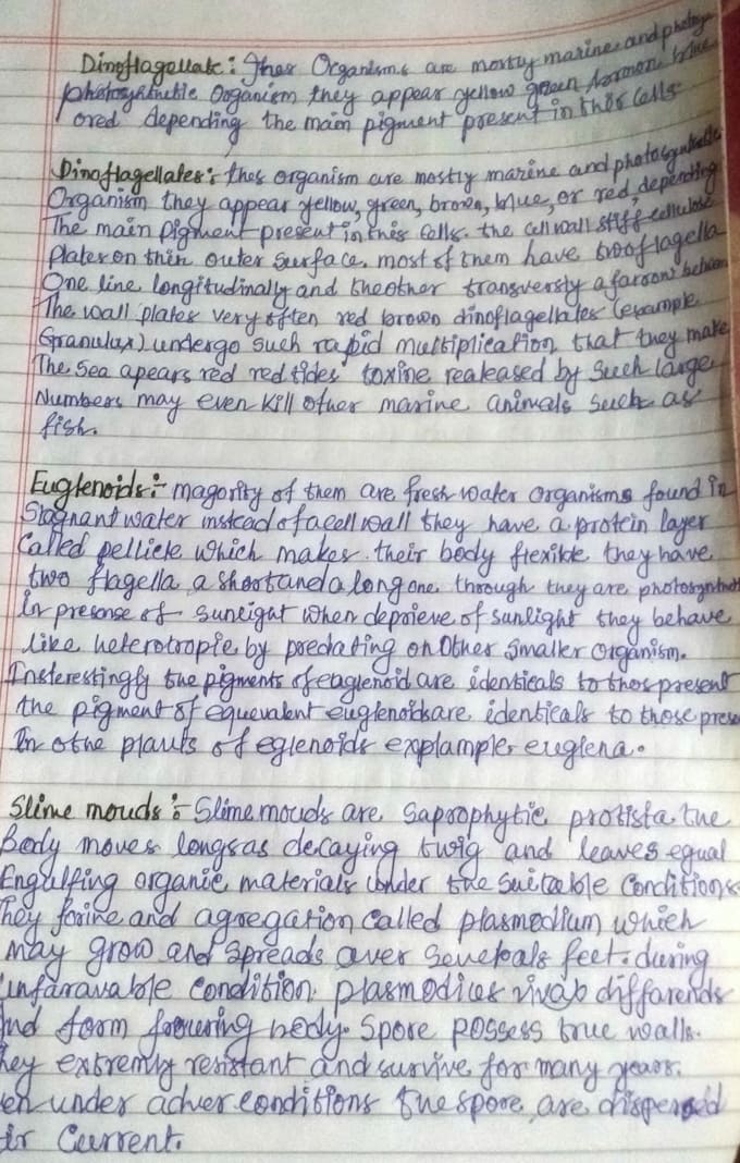 do professionally handwriting assignment job