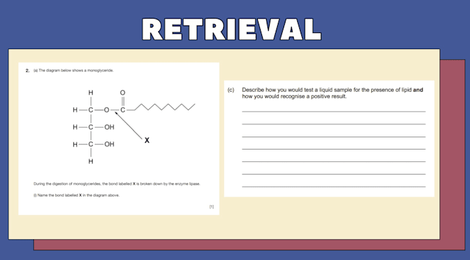 create detailed biology workbooks