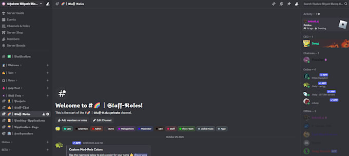 create a premium discord server for you