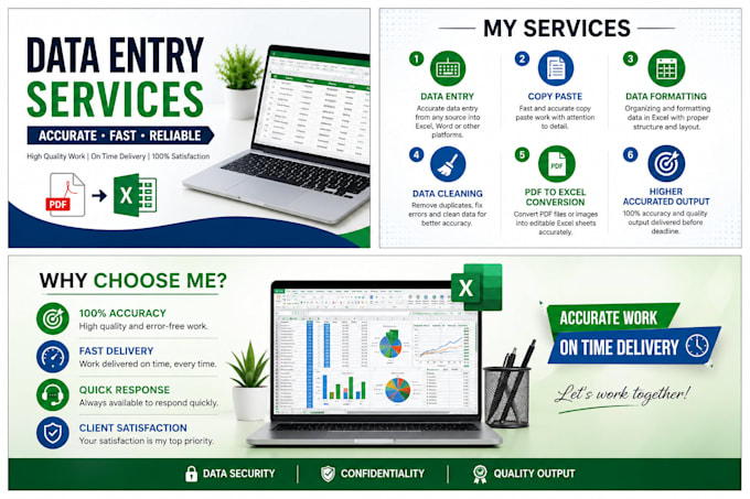 provide professional data entry and excel services