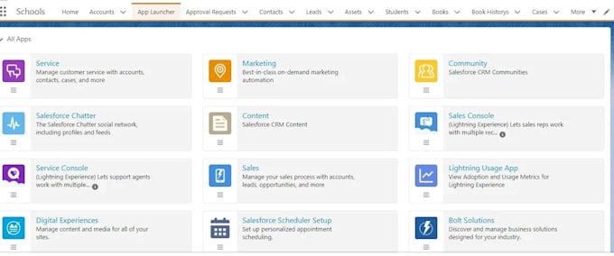 be your salesforce administrator, developer, lightning aura
