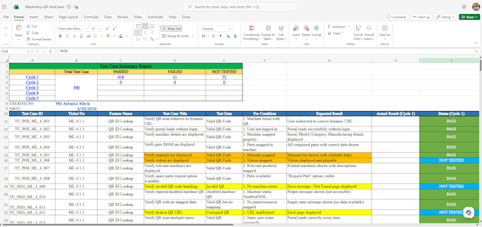 do professional QA testing, bug reporting, web app testing
