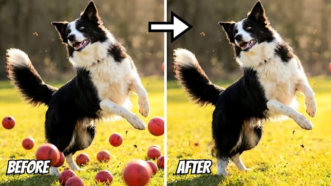 do professional photo editing, object and background removal