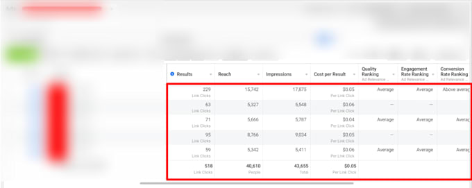 run professional facebook ads, instagram campaigns, meta ad