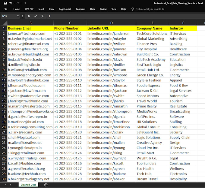 do professional excel data cleaning and formatting