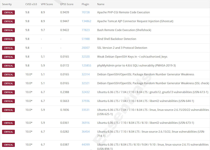 do professional vulnerability assessment and network security scanning
