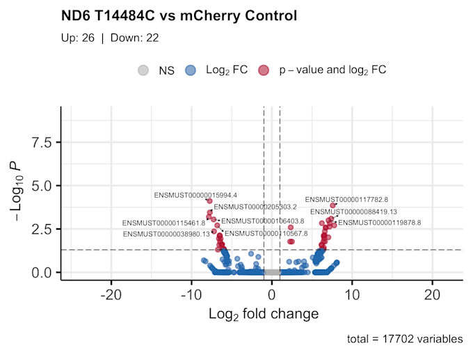 analyze your bulk rnaseq data with publication ready figures