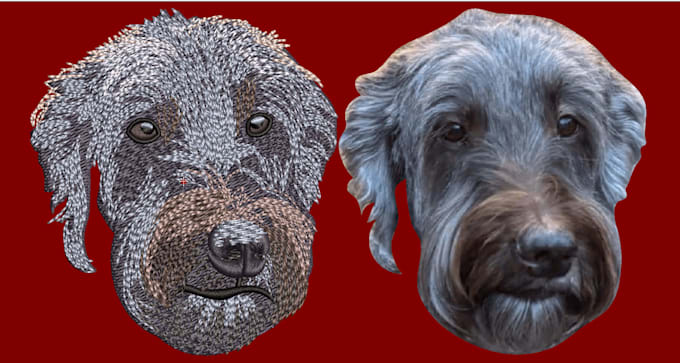 convert image to embroidery digitizing desigion