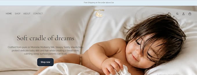 design or redesign a modern shopify store website for dropshipping or ecommerce