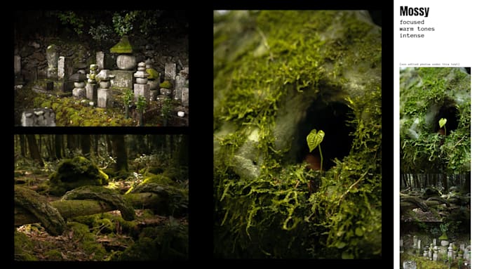 photography and image editing