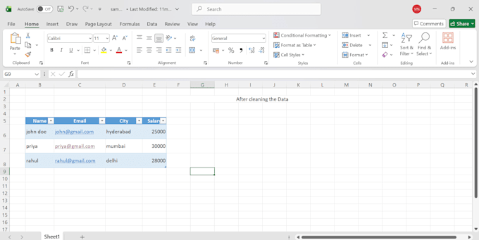 clean, format and organize excel or CSV data professionally
