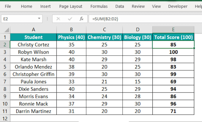 design advances excel spreadsheet with complex formulas