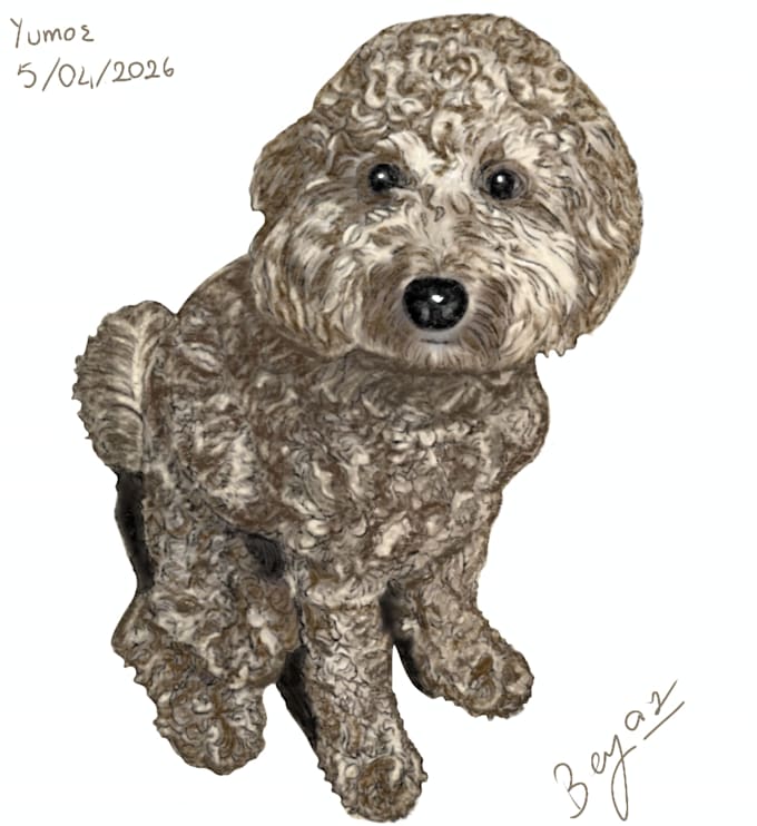 draw a custom digital pet portrait from your photo