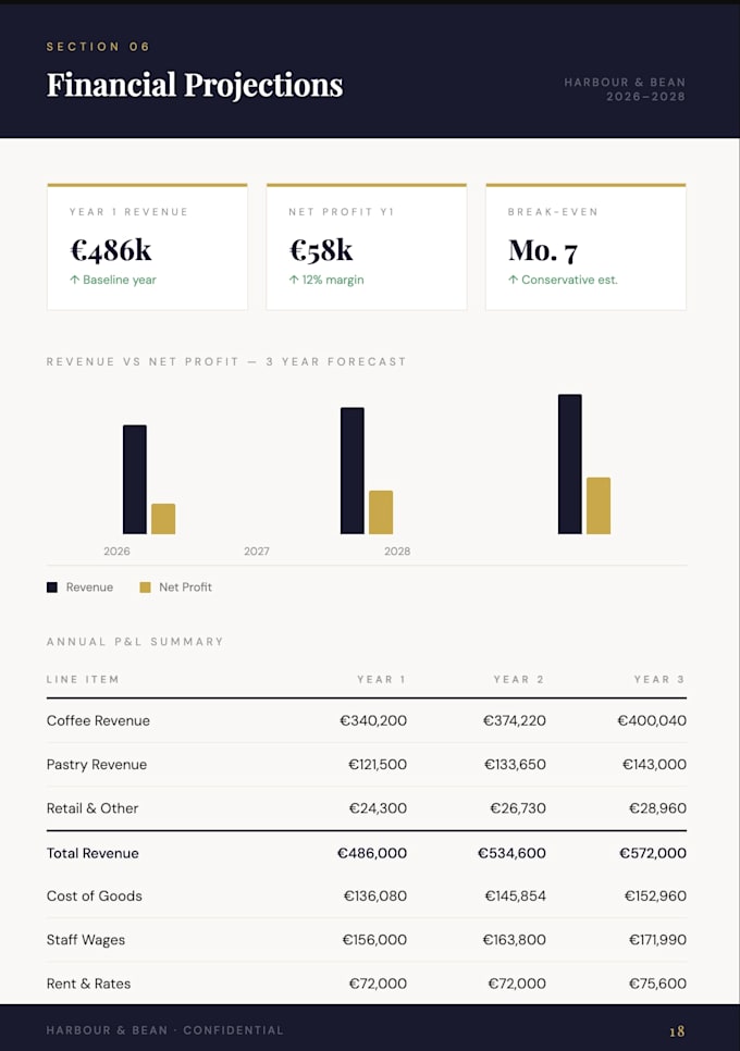 professional investor ready business plan