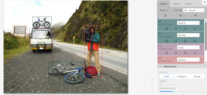 do professional image annotation, data labeling