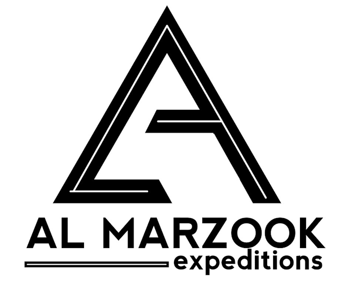 design professional business logo with fast 24 hour delivery