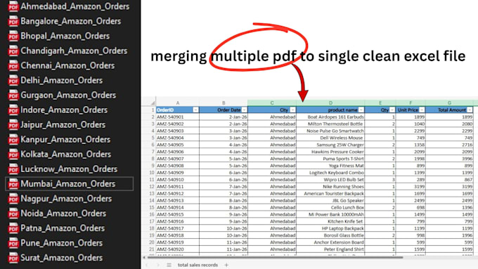 clean messy data, organize records and handle data entry