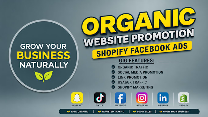 do website promotion, shopify facebook ads to increase organic website traffic
