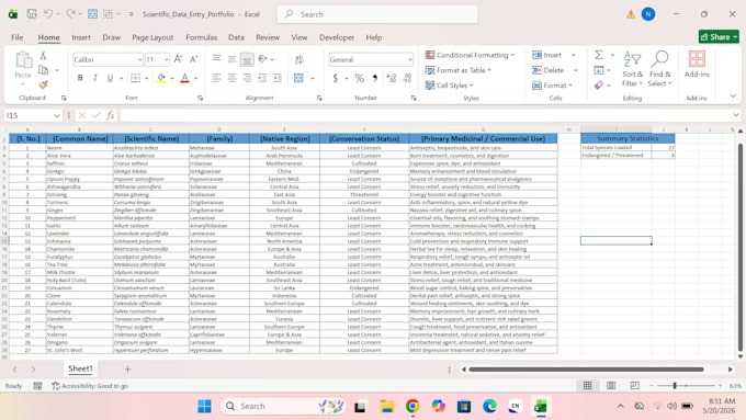 expert excel data entry and corporate document formatting