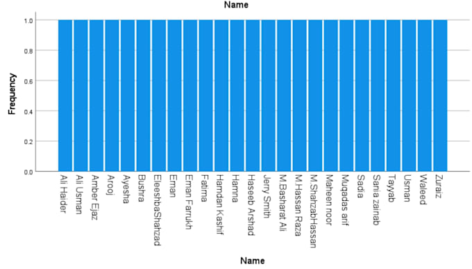 provide word, excel and spss services