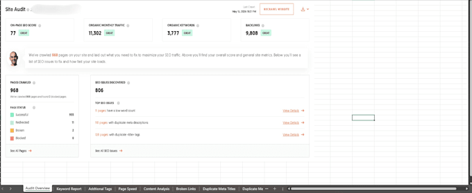do a premium ai powered SEO audit for your website