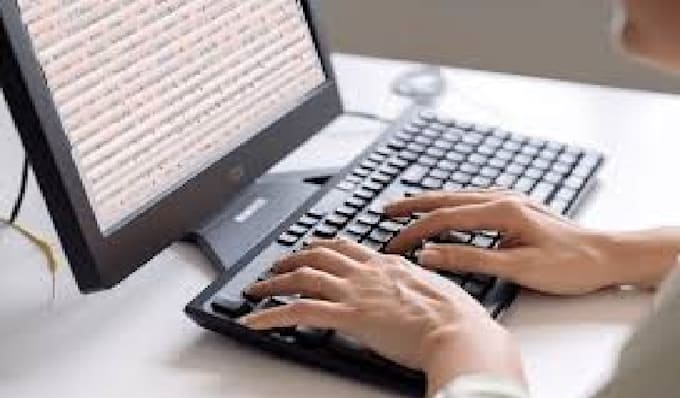 excel data entry, typing work, copy paste,  web research,