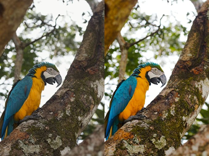 edit your raw photos using darktable
