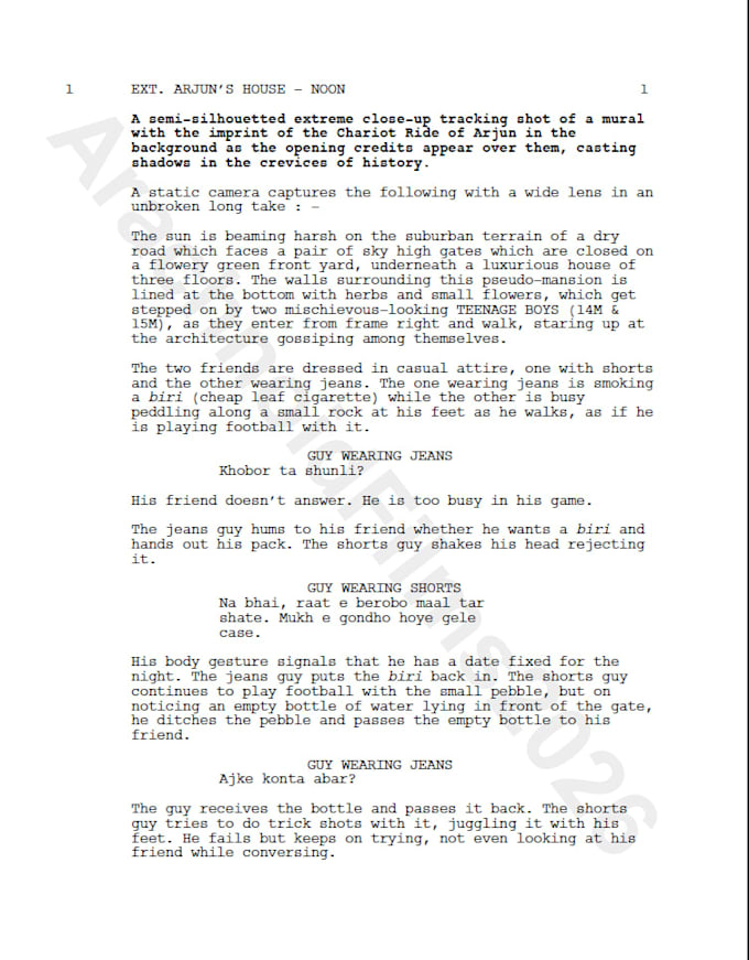provide professional script coverage and doctoring for your film