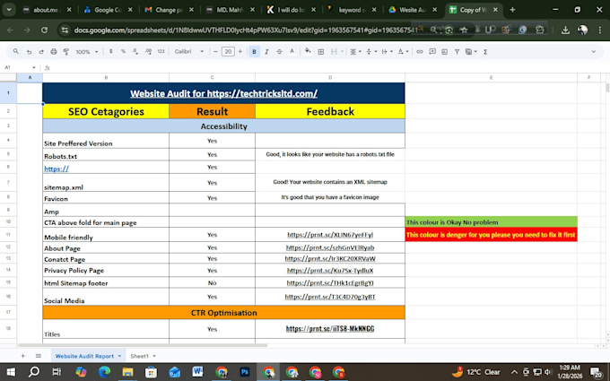 do professional SEO website report
