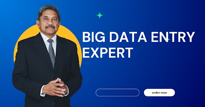 finish any big data entry tasks in 24 hours