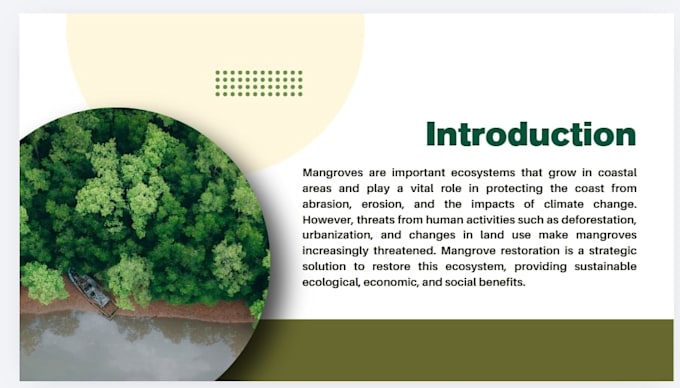 create professional powerpoint presentations and PPT designs