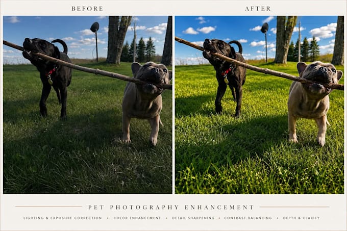 professionally edit your photos naturally