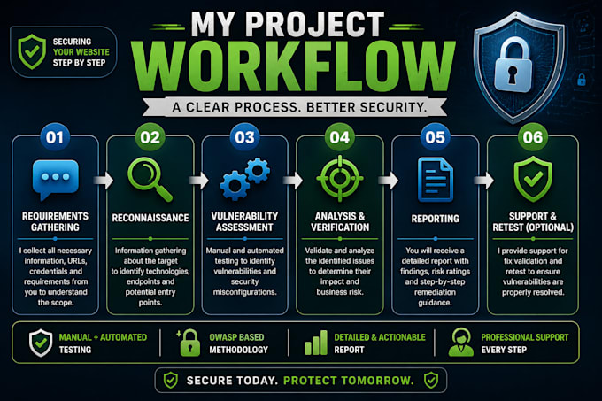 perform professional website security assessment and vapt