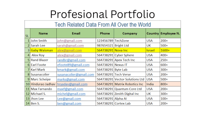 accurate data entry and lead generation