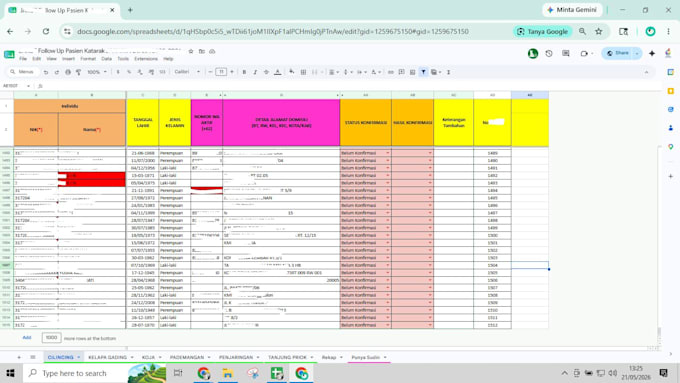 clean and organize your  data professionally