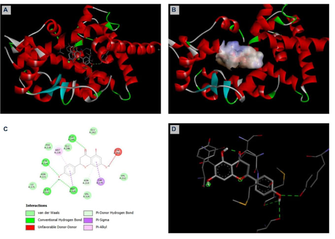 perform molecular docking with detailed analysis