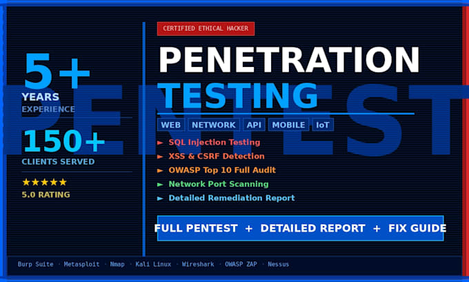 do professional penetration testing and security assessment