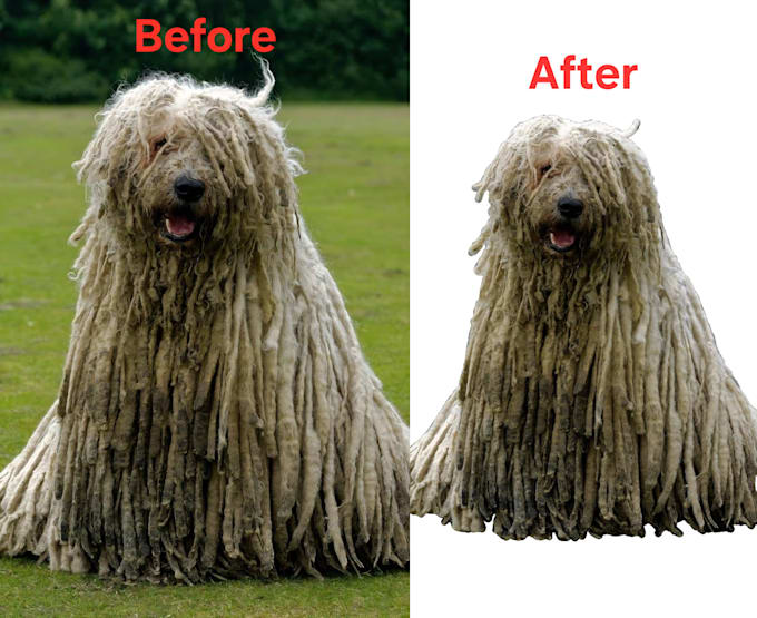remove backgrounds from your e commerce  images