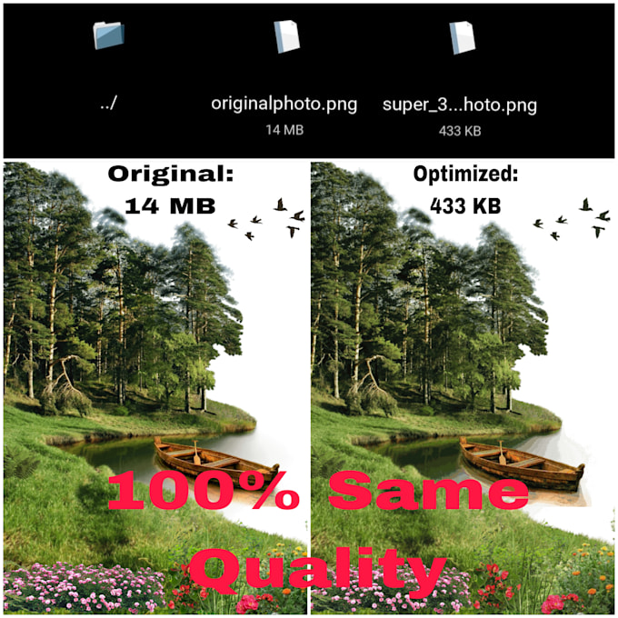 professionally compress and optimize images