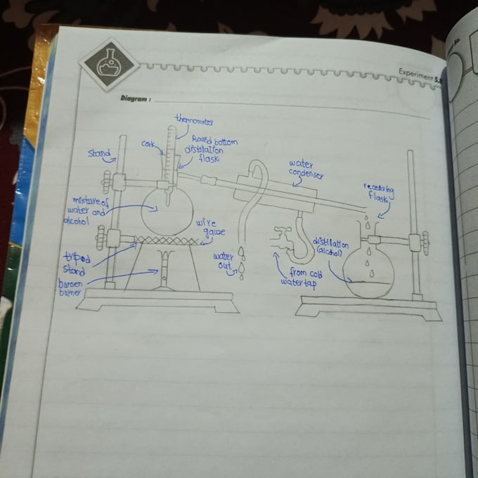 do neat handwritten assignments, notes and labeled diagrams