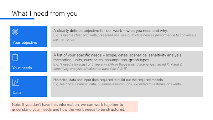 build a dynamic and professional financial model for investors or lenders