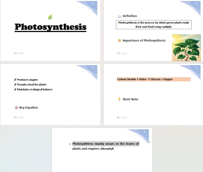 type notes, assignments, PDF to word and format documents