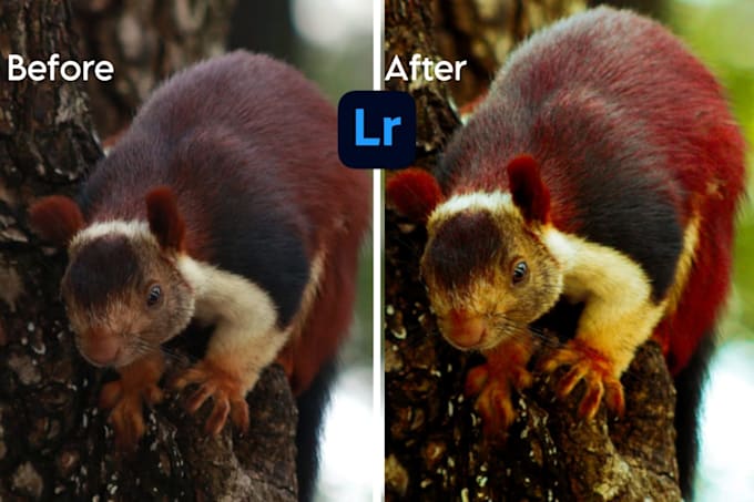 professionally retouch and edit portrait photos