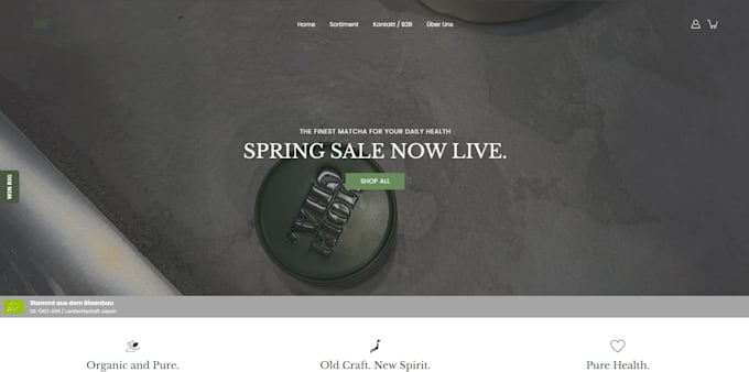 build a modern and high converting shopify store