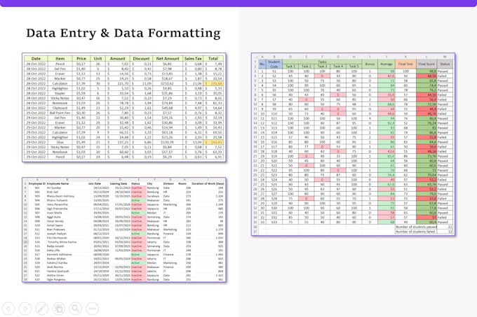 do fast and accurate data entry and data cleaning in microsoft excel