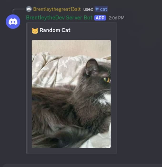 make discord bots python